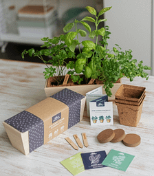 At home indoor planter for company gifts