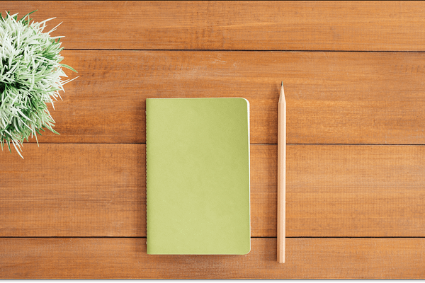 minimalist photo of notebook, pencil, and plant on wooden table